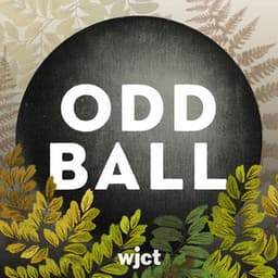 Odd Ball Podcast logo