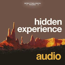 hidden experience audio logo
