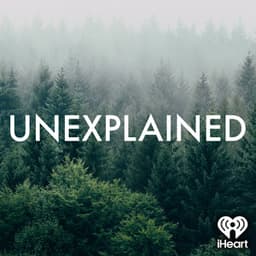Unexplained logo