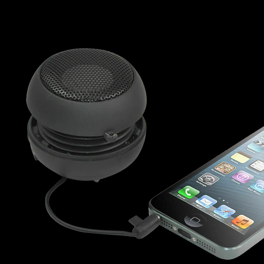 Ghost Box Speaker for Ghost Boxes